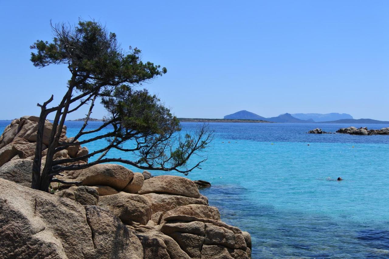 Iknos Guest House Olbia Buitenkant foto
